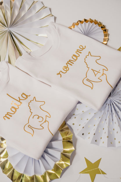 ANNIVERSAIRE CHOIX DE LA FORME DU BALLON - Cache-couche