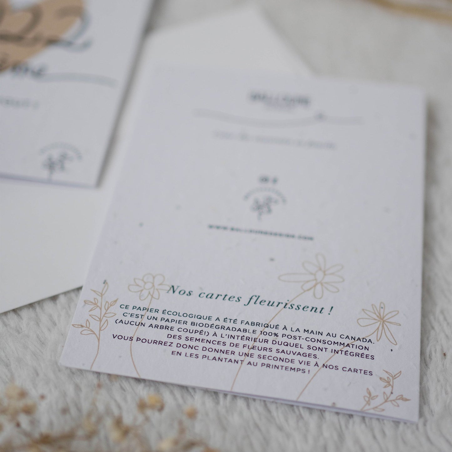 Carte de vœux à planter "la vie est belle avec toi"